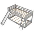 Bunk Bed & Convertible Slide & Ladder