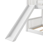 Bunk Bed & Convertible Slide & Ladder