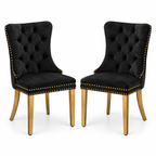 Nikki - Modern, High-End Tufted Dining Chair (Set of 2)