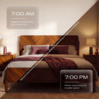 Bifrost Solid Wood Bed Frame