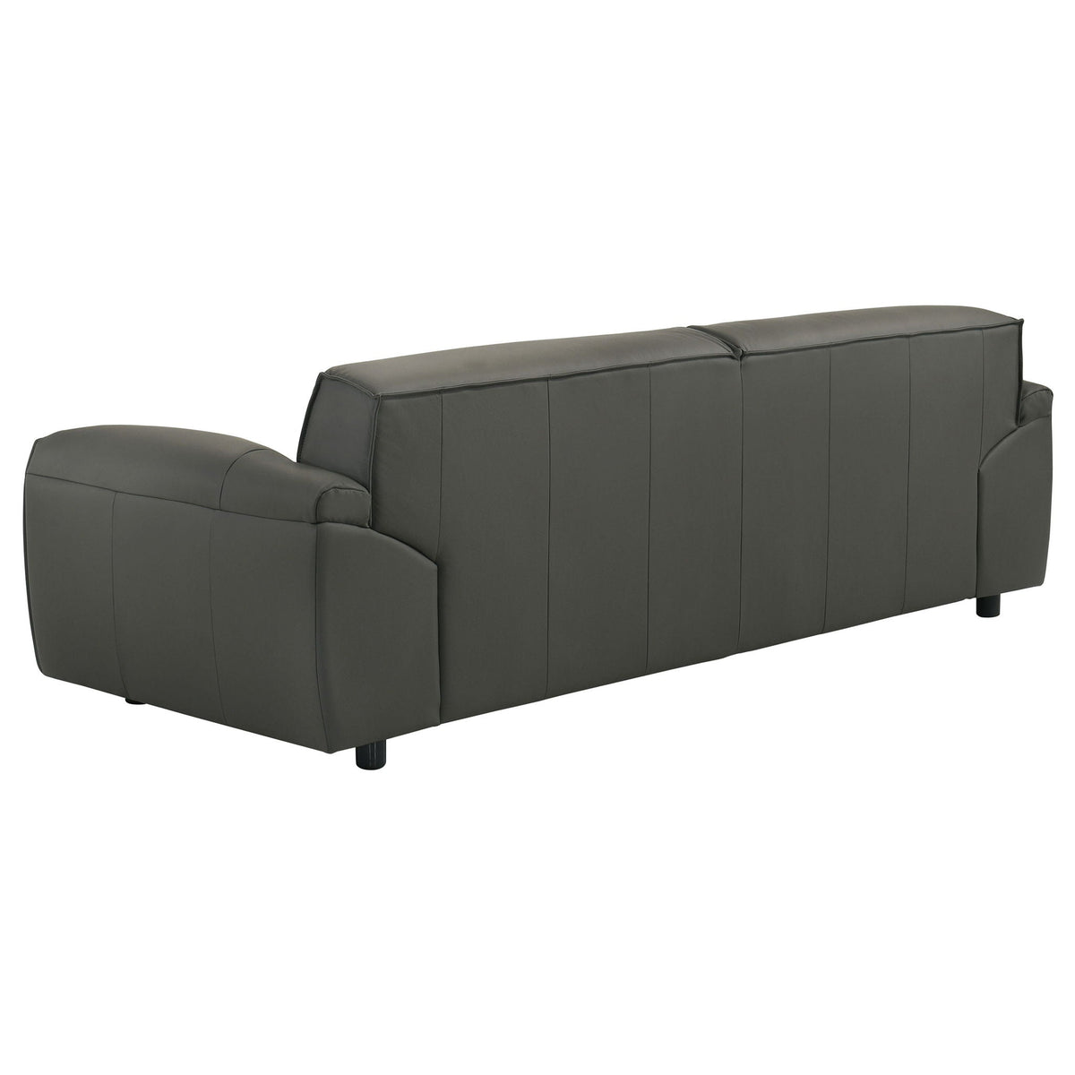 Buxton 2-piece Leather Upholstered Sofa Set Graphite